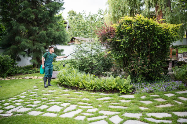 Best Pest Removal Services  in Steelton, PA