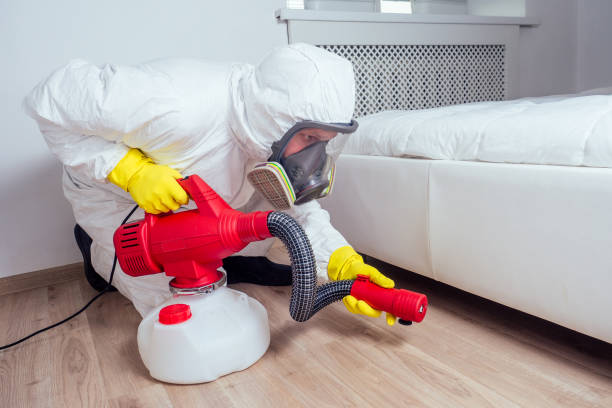 Best Local Pest Control Services  in Steelton, PA