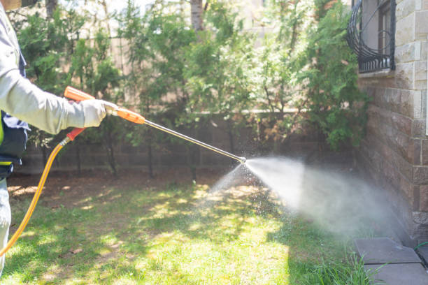 Best Best Pest Control Companies  in Steelton, PA