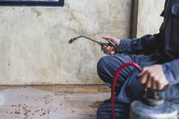 Best Residential Pest Control  in Steelton, PA